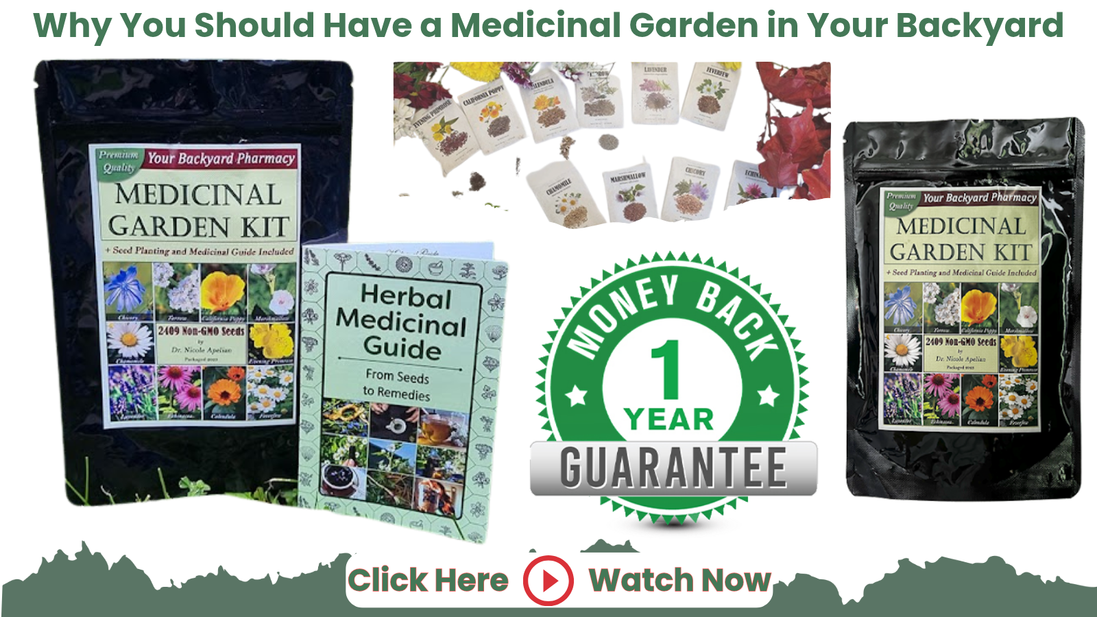 The Medicinal Garden Kit